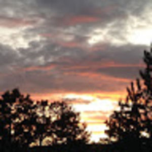 Meet your Posher, Sakari